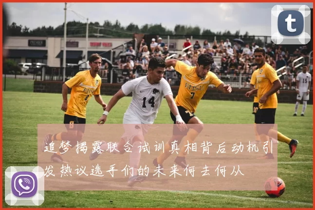 追梦揭露联合试训真相背后动机引发热议选手们的未来何去何从
