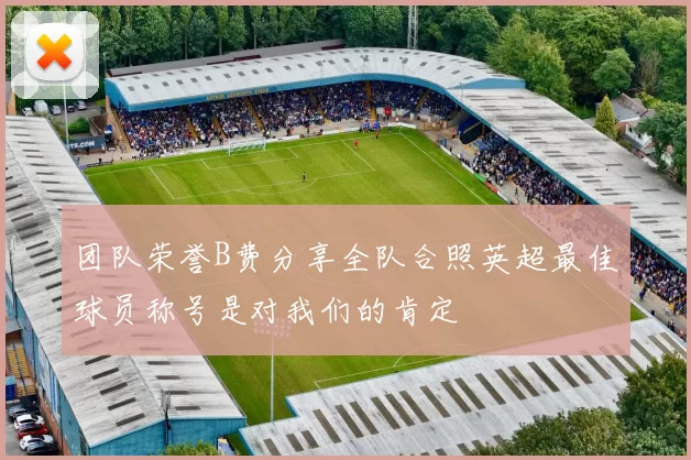 团队荣誉B费分享全队合照英超最佳球员称号是对我们的肯定